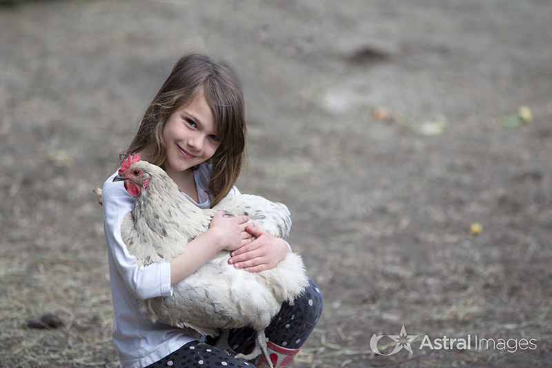Southlands Heritage Farm - Holding a Hen