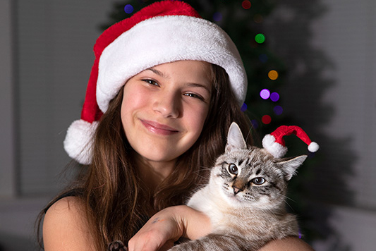 Christmas Portrait with kitten