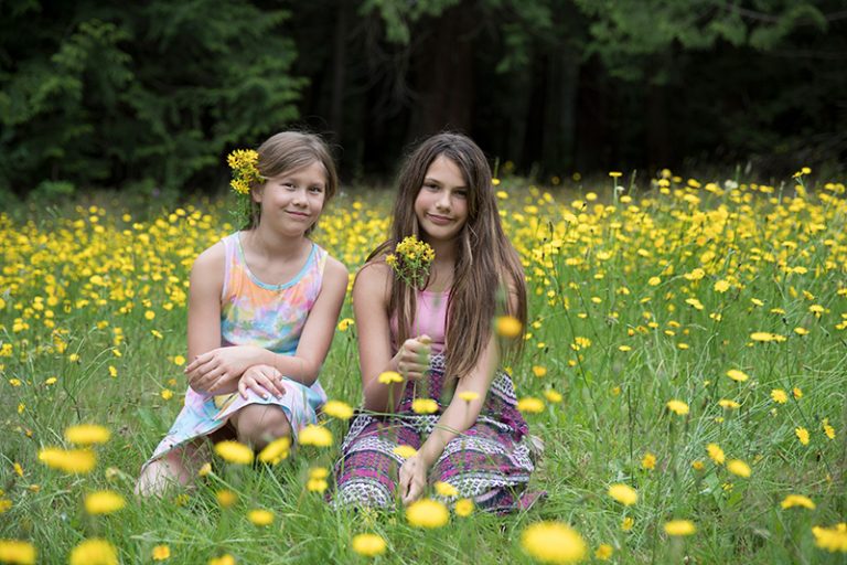 Wild Road Farm, powell River, farm portraits - dandelion field friends