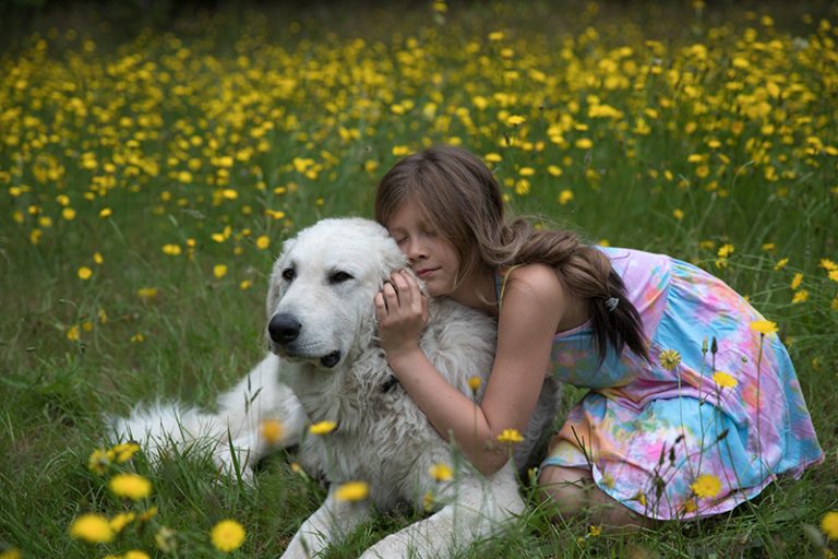 Wild Road Farm, powell River, farm portraits - dog love